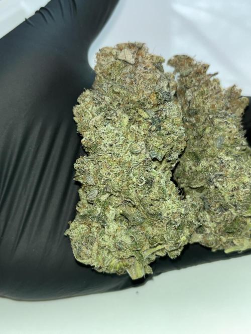 Chem-D Duet. Week 18