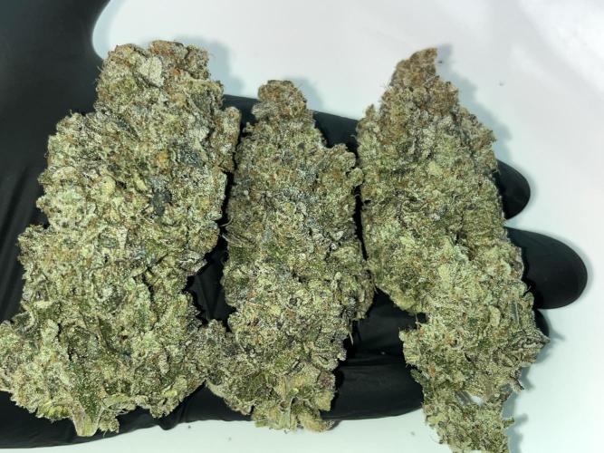 Chem-D Duet. Week 18