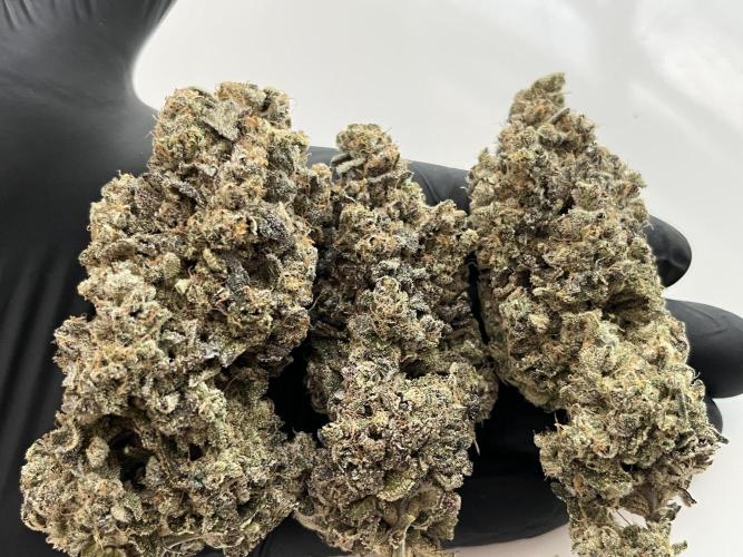 Chem-D Duet. Week 18
