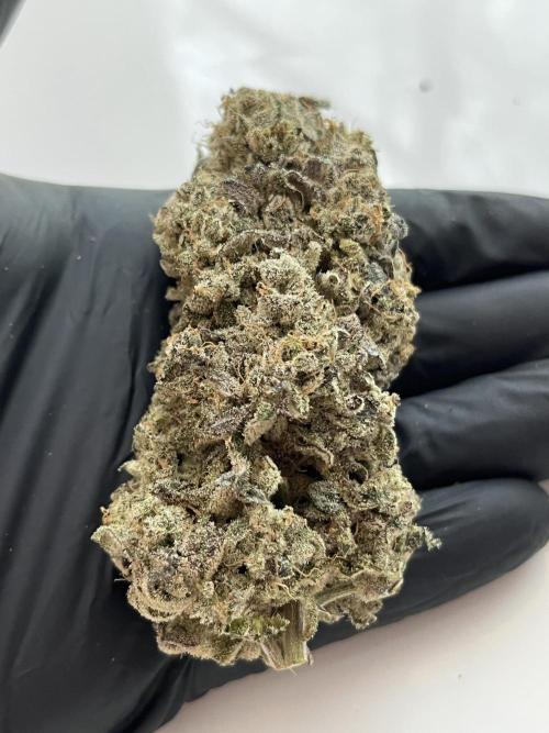 Chem-D Duet. Week 18