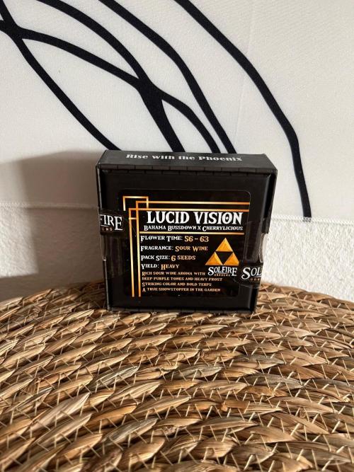 Lucid Vision. Week 0