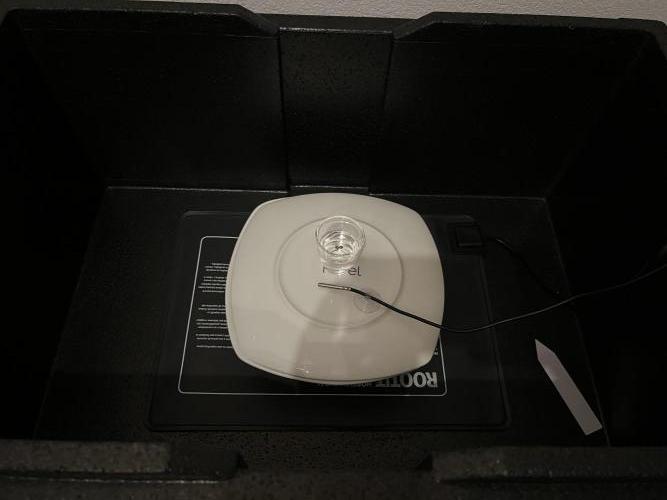 Pink Milk • Solfire. Week 0