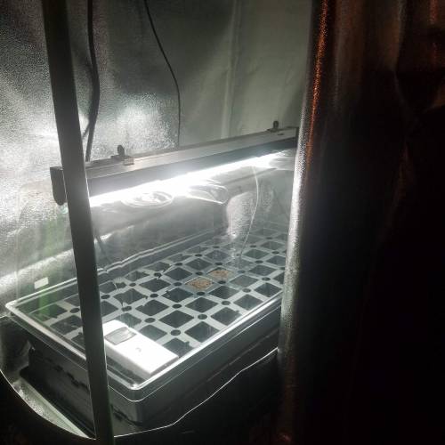 Overkill 101-1000W BlackDog LED in a 4x4. Week 1