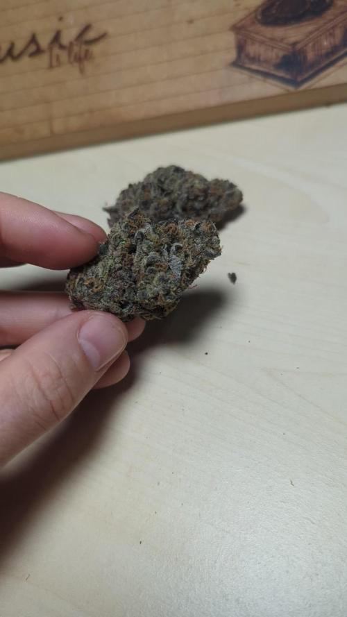 Radical Juice - Ripper Seeds