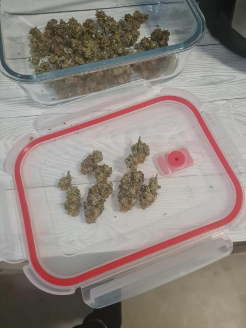 Clones salad run!🤪. Week 15