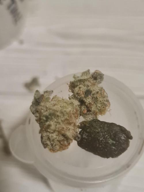 Clones salad run!🤪. Week 16