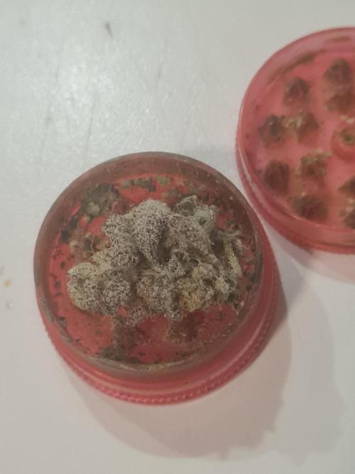 Clones salad run!🤪. Week 16