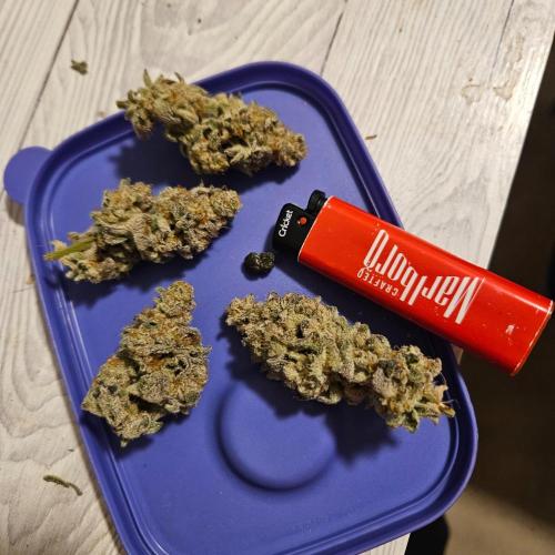 Clones salad run!🤪. Week 16