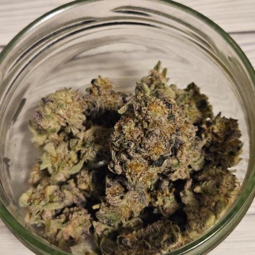 Clones salad run!🤪. Week 16