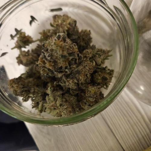 Clones salad run!🤪. Week 16