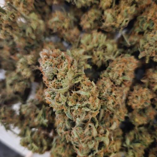 Clones salad run!🤪. Week 16