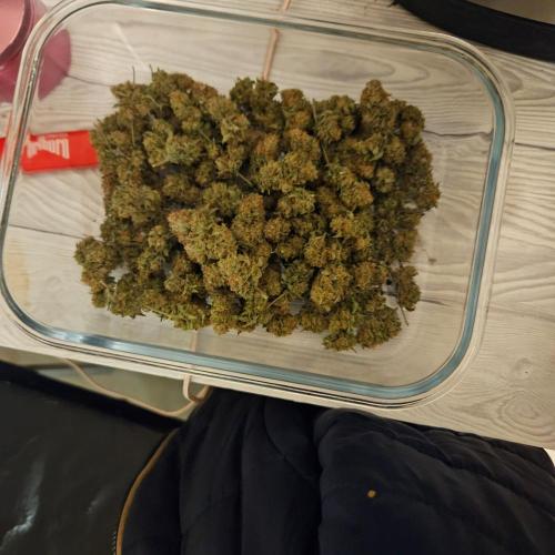 Clones salad run!🤪. Week 16