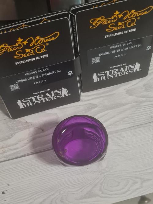 Franco's Full Gas!💣🧀. Week 0