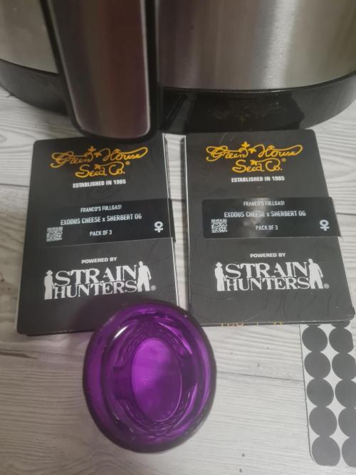 Franco's Full Gas!💣🧀. Week 0