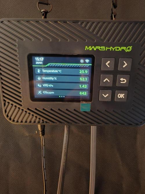 Franco's Full Gas!💣🧀. Week 6 - D42