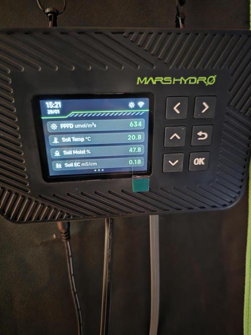 Franco's Full Gas!💣🧀. Week 6 - D42