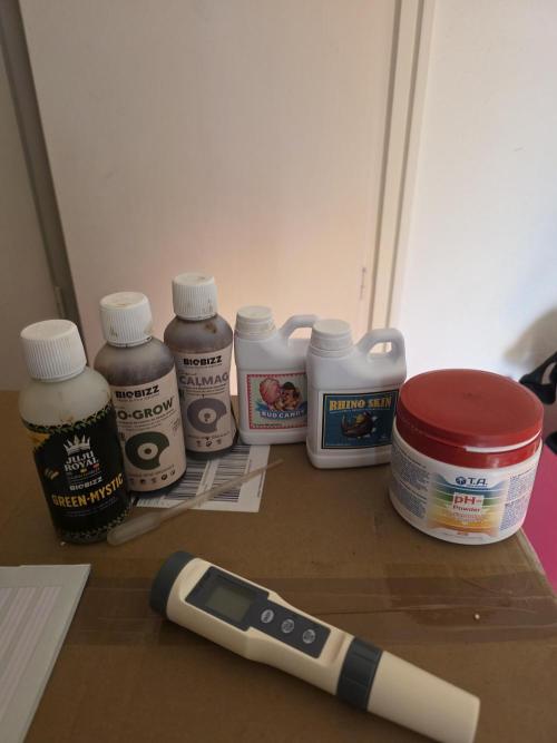 Franco's Full Gas!💣🧀. Week 7