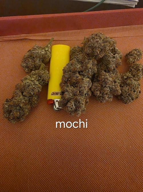 Franco's Full Gas!💣🧀. Week 17