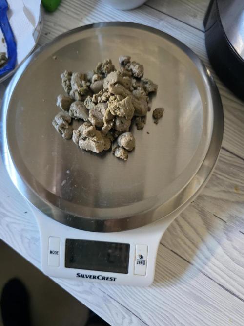Franco's Fullgas!. Week 17