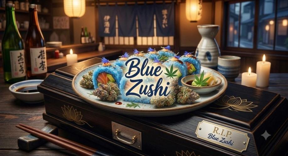 Blue Zushi clone!?🍣🍢🍥. Week 14