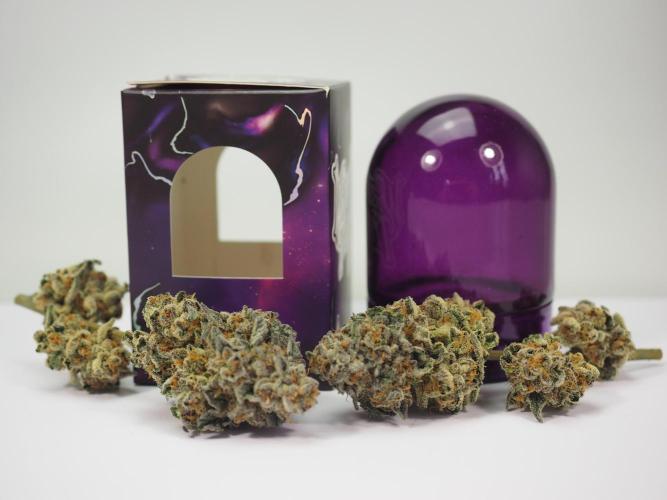 Last Dance - Wizard Trees. Week 12 - No sell, package only for landscape (#1)