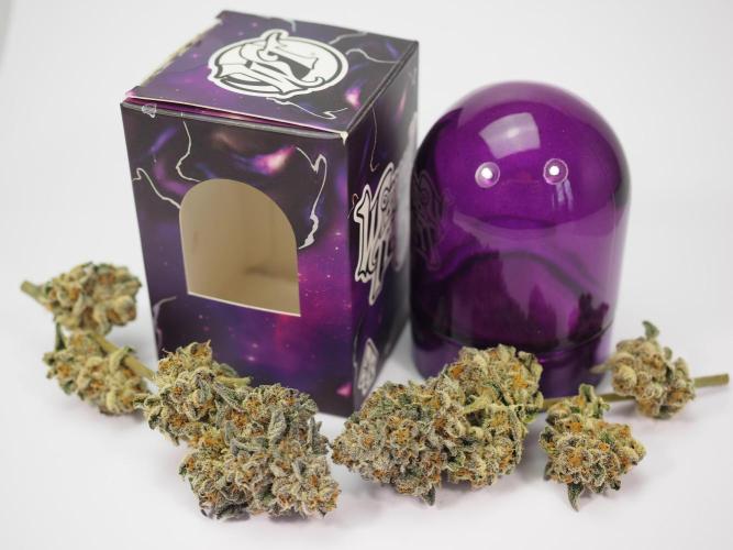 Last Dance - Wizard Trees. Week 12 - No sell, package only for landscape (#1)