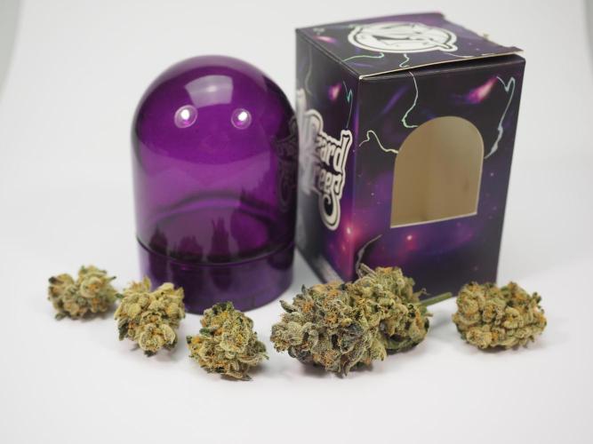 Last Dance - Wizard Trees. Week 12 - No sell, package only for landscape (#2)