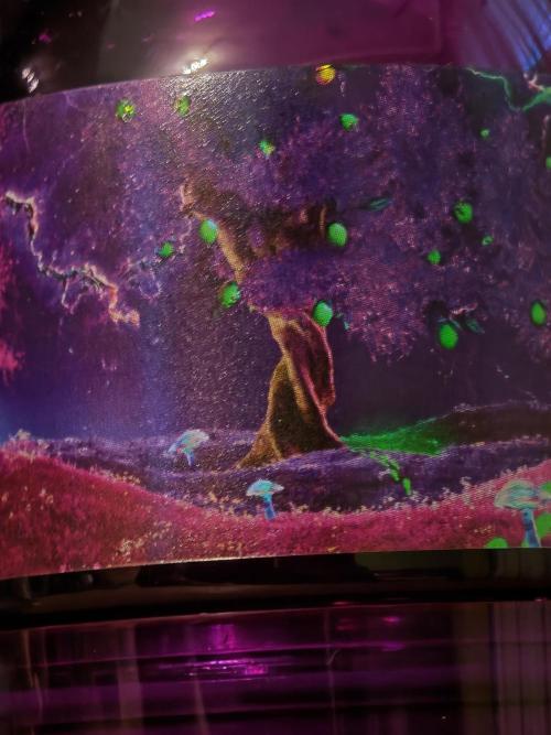 Black Light (Pheno Hunt) Wizard Trees. Week 0 - For educational purpose only