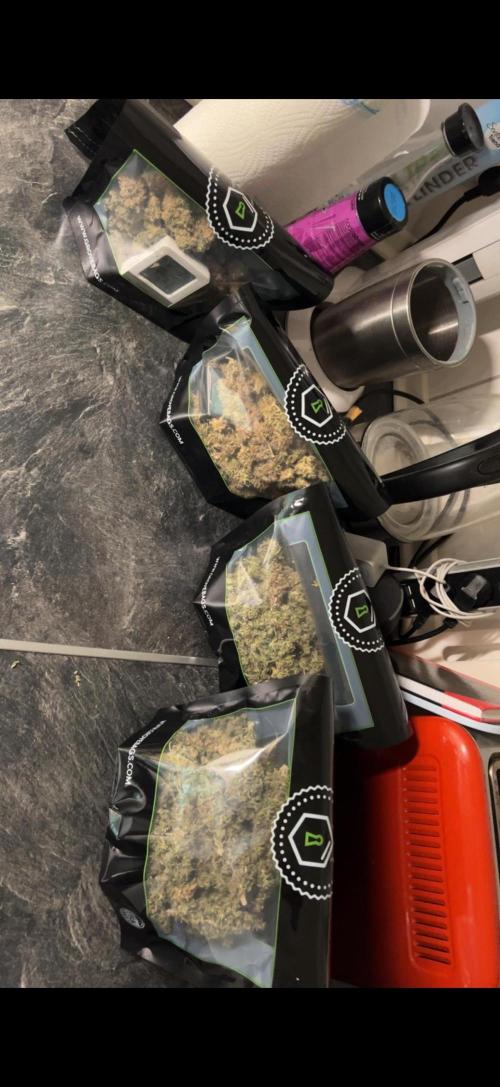 Sundae Driver good Pheno. Week 17