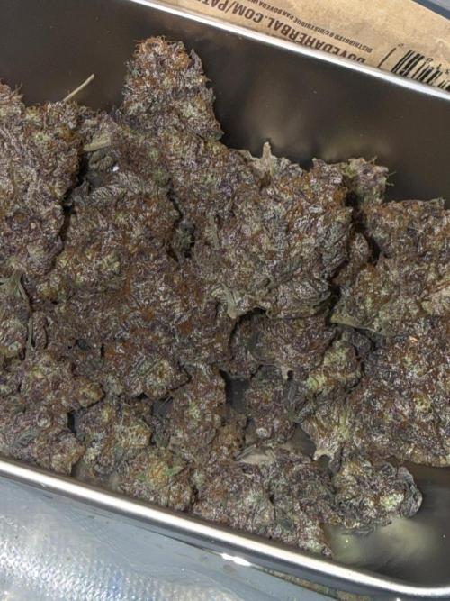 Cali-Octane & Tangie land. Week 30