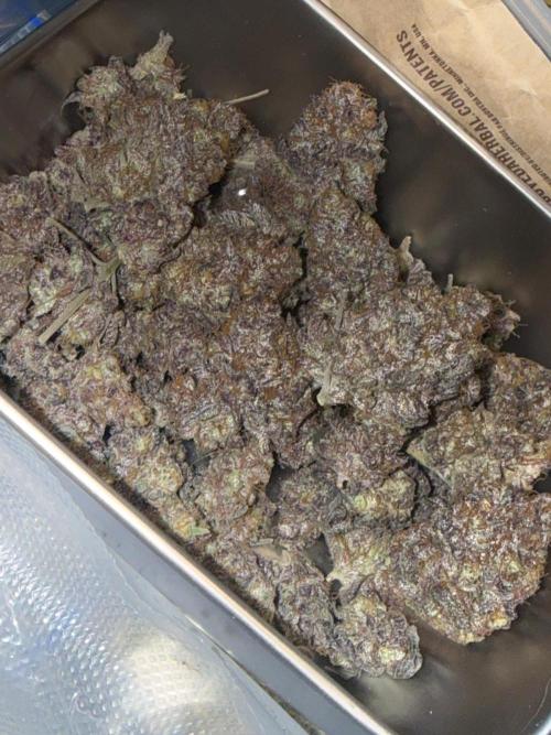 Cali-Octane & Tangie land. Week 30