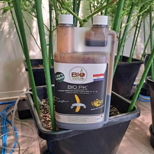 IN Liberty Haze & Biotabs. Week 14 - DAY40 Bio PK