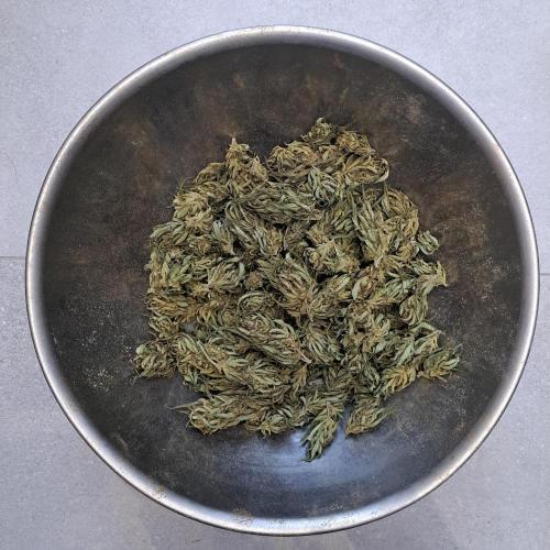 OUT/GH Liberty Haze & Cookies Gelato. Week 33