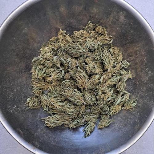 OUT/GH Liberty Haze & Cookies Gelato. Week 33