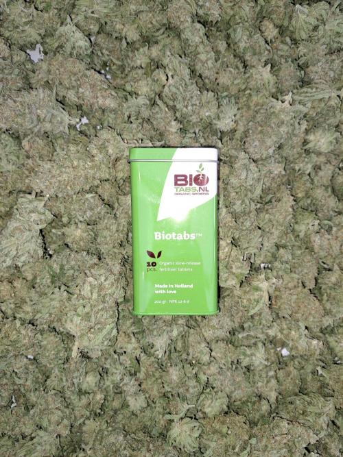 IN Liberty Haze & Biotabs. Week 19 - Bio Tabs = Easy Growing & Great Yields