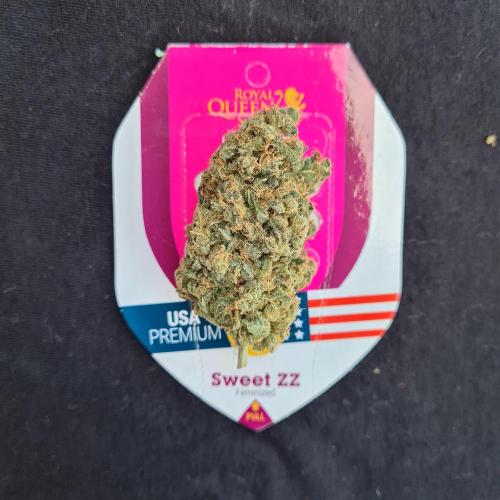 Interview with Biotabs. Week 1 - Sweet ZZ (RQS)