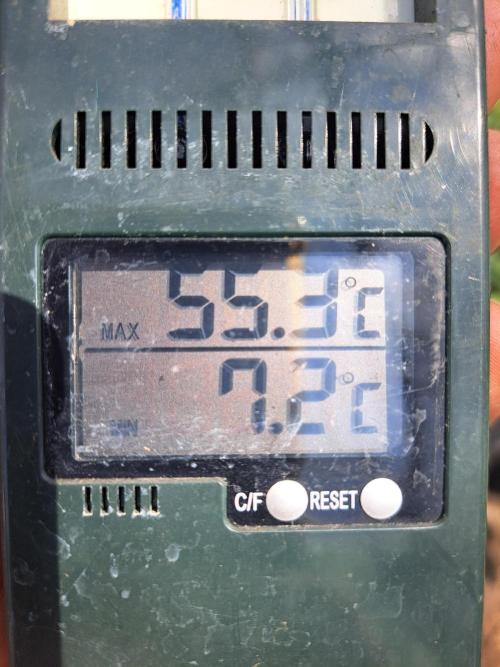Permant Marker X Georgia Pie. Week 3 - Min & Max temperatures in the greenhouse this week