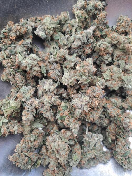 #NOVEGCANNABIS Challenge. Week 13