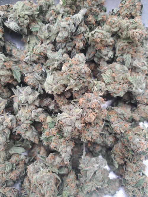 #NOVEGCANNABIS Challenge. Week 13