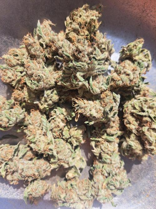 #NOVEGCANNABIS Challenge. Week 13
