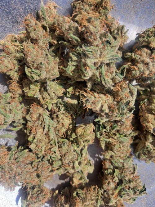 #NOVEGCANNABIS Challenge. Week 13