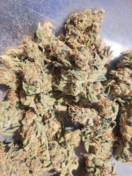 #NOVEGCANNABIS Challenge. Week 13