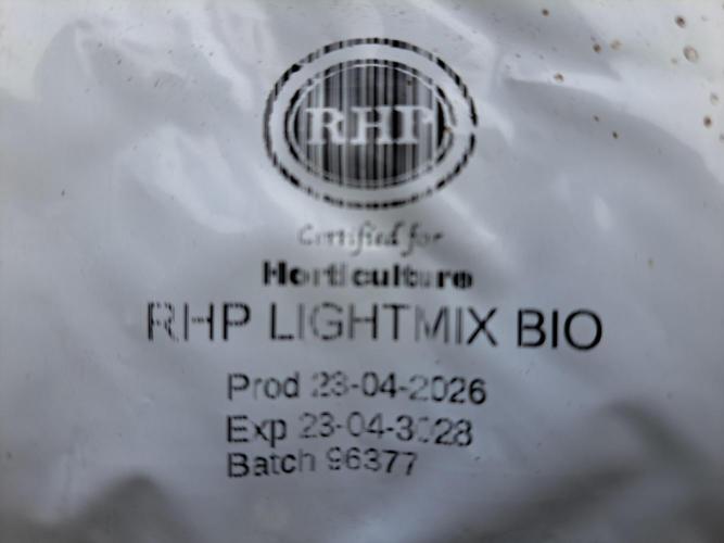 Halle Berry CLONE. Week 1 - Lightmix Bio