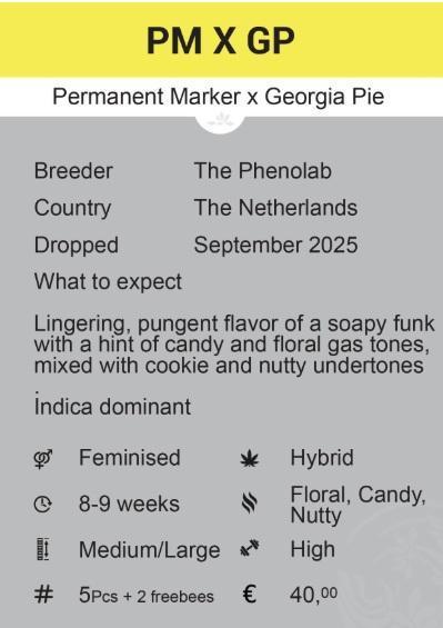 Permant Marker X Georgia Pie. Week 15