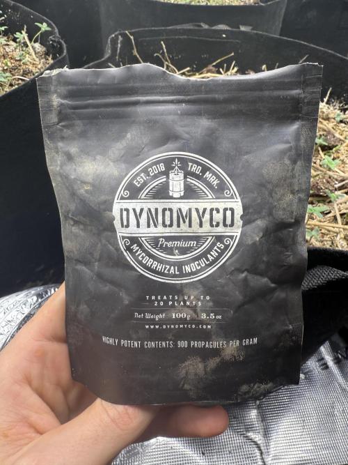 Tropicana cherry. Week 1 - Für den Start verwende ich 
Mykorrhiza 
