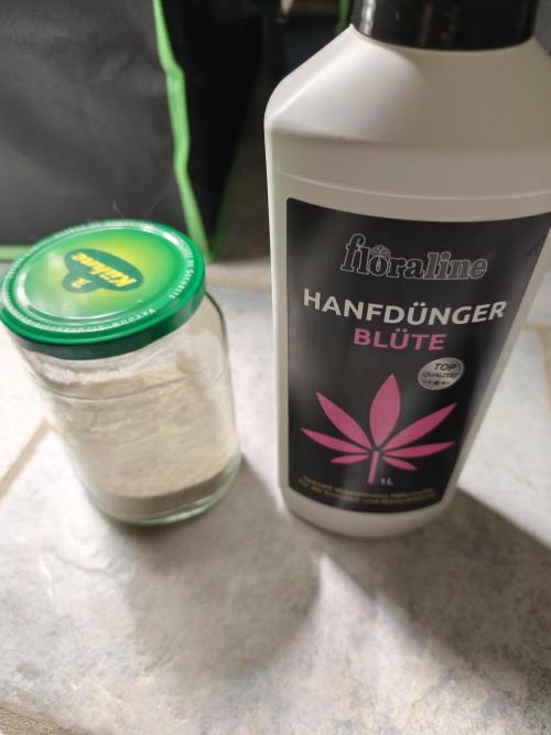 White Widow F1 Auto. Week 7 - Tag 46 Dünger 
Pulver ist selbst gemischt