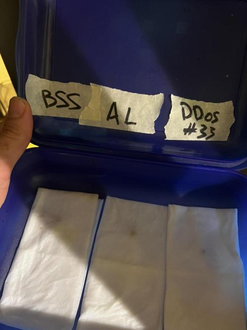 Living Soil - DDos#33. Week 0