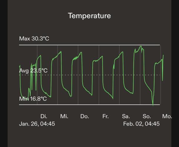 LivingSoil - Amensia Lemon. Week 8