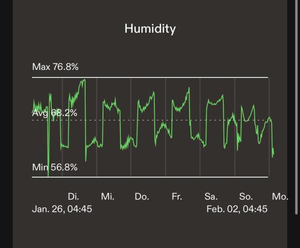 LivingSoil - Amensia Lemon. Week 8