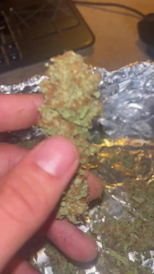 Blue Sunset Sherbert